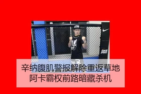 辛纳腹肌警报解除重返草地 阿卡霸权前路暗藏杀机
